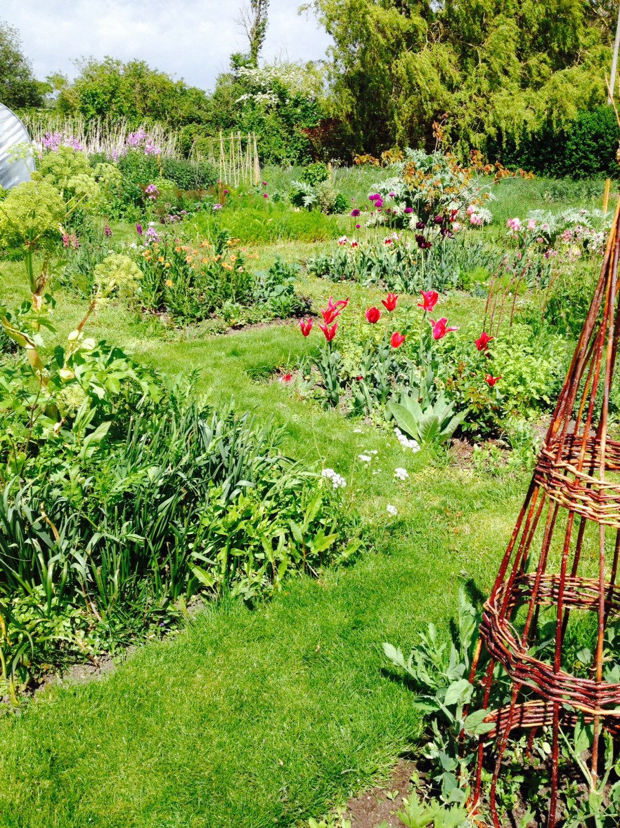 Cutting Garden flowers
