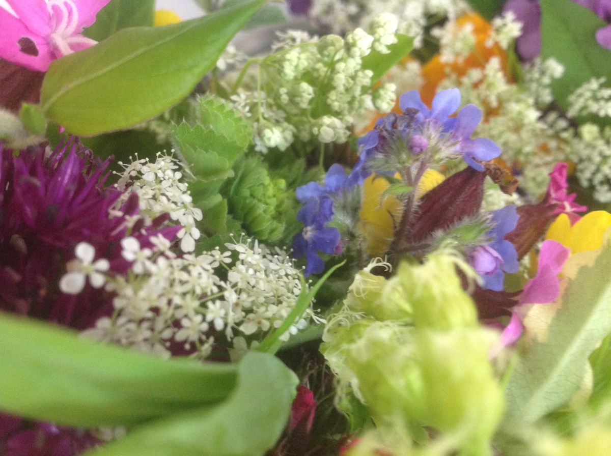 Cutting Garden flowers