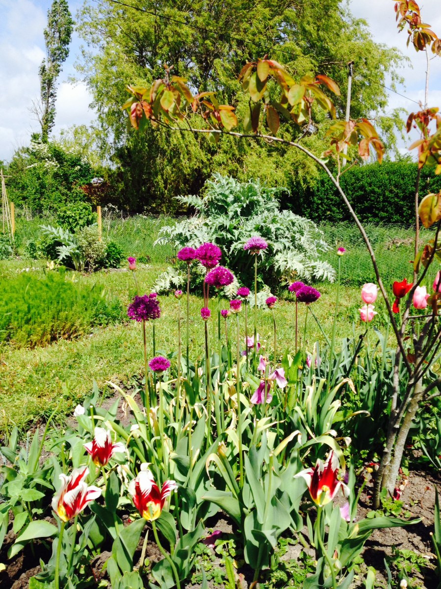 Cutting Garden flowers